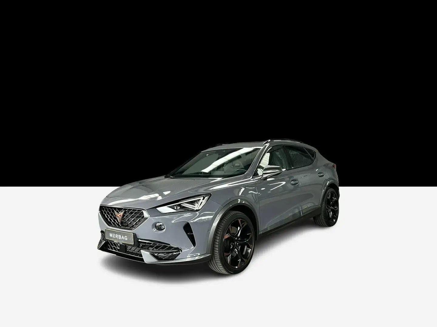 CUPRA Formentor Formentor VZ 2.0 TSI 4Drive OPF Grijs - 1