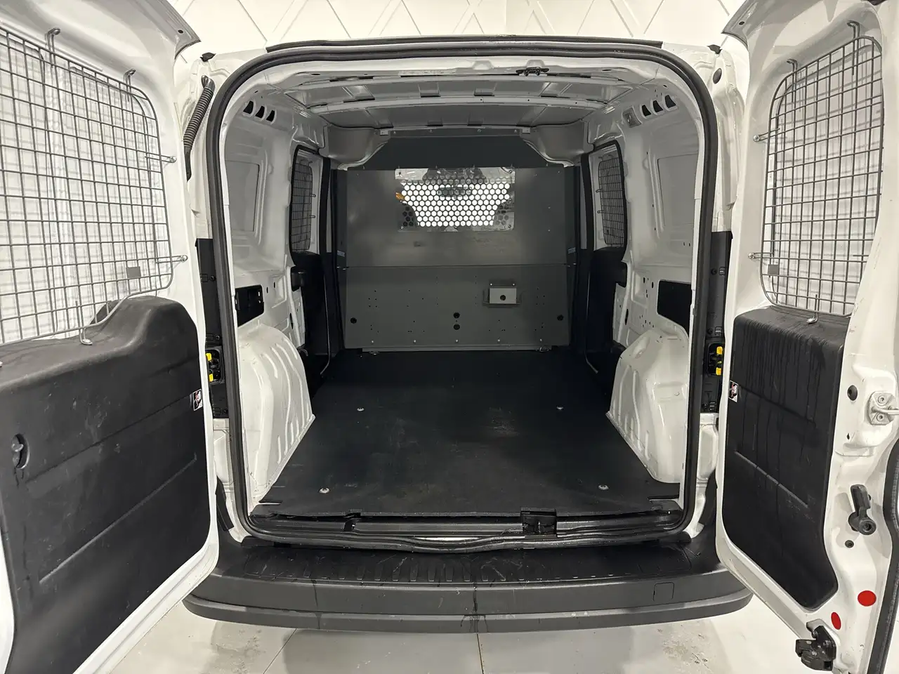 RAM Promaster снимка RAM Promaster