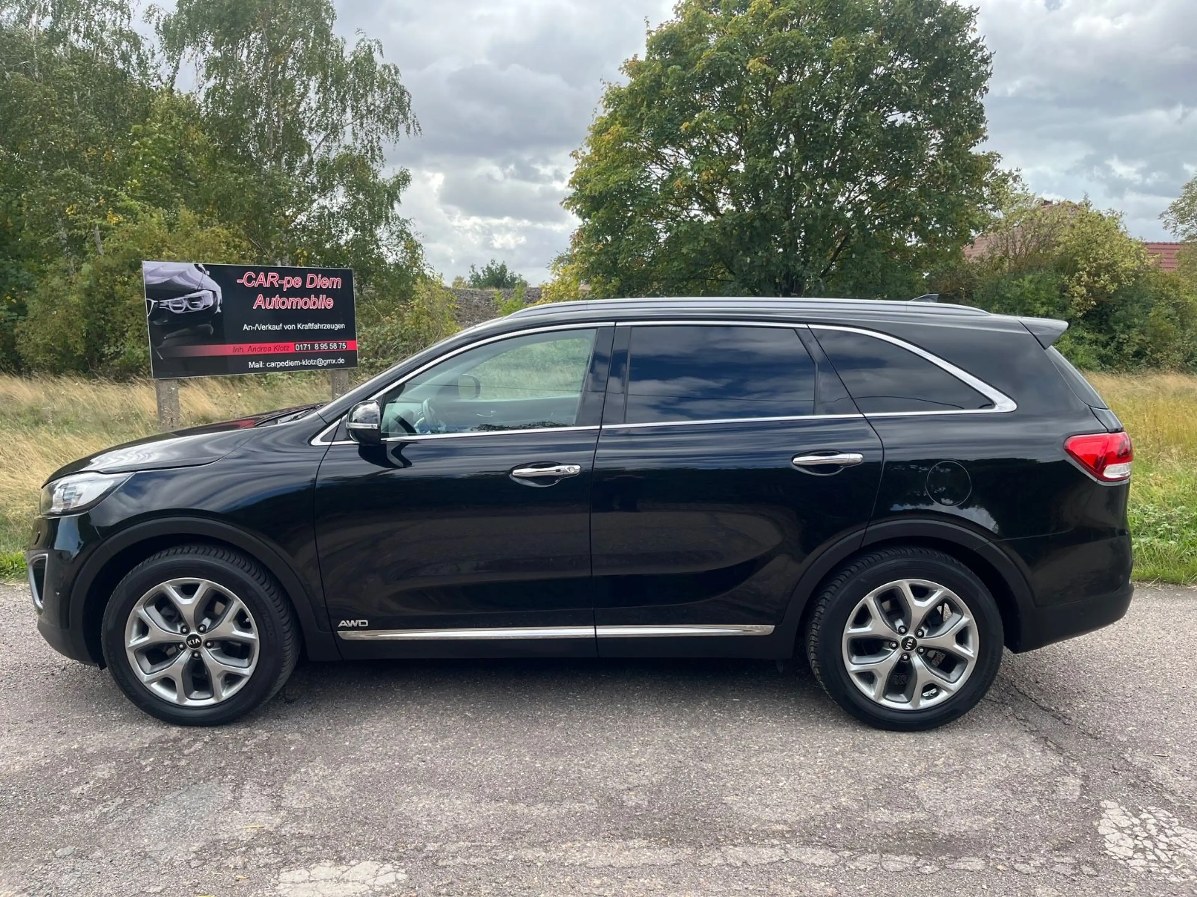 Kia Sorento Platinum Edition 4WD /Kamera/Navi