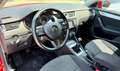 Skoda Octavia Station Wagon 1.6 tdi cr Ambition + 90cv Rosso - thumbnail 7