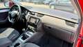 Skoda Octavia Station Wagon 1.6 tdi cr Ambition + 90cv Rosso - thumbnail 12