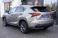 Lexus NX 300h AWD F Sport|197PK|Panoramadak|Leder|Head Up|ACC|IS Gris - thumbnail 39