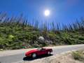Chevrolet Corvette Cabrio, wenig Kilometer, TOP Zustand Rojo - thumbnail 9