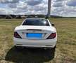 Mercedes-Benz SLC 250 SLC 250 d Weiß - thumbnail 5