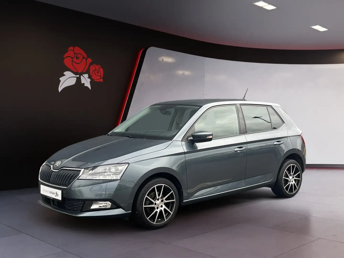 Skoda Fabia 1,0 TSI Style Kamera Grau - 2