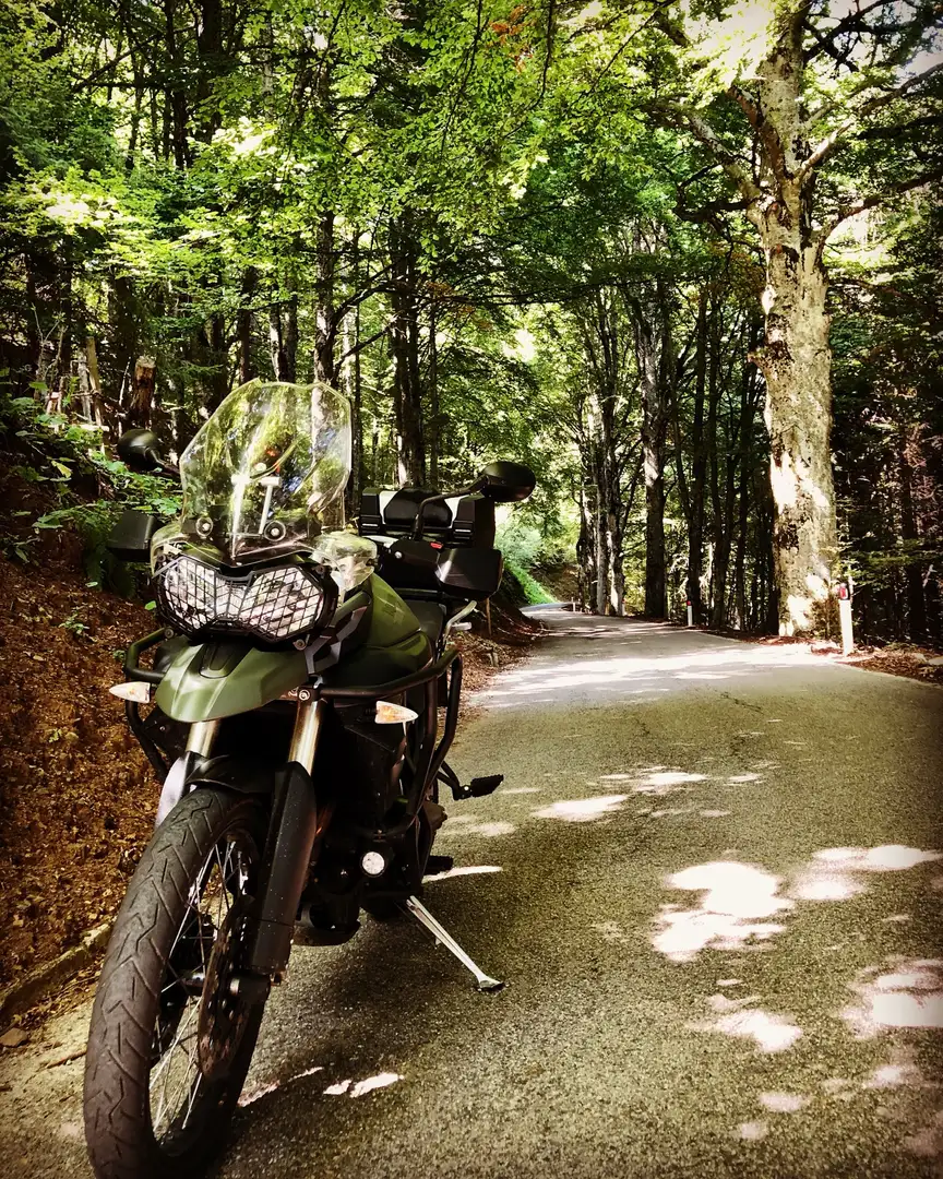 Triumph Tiger 800 xc - 2