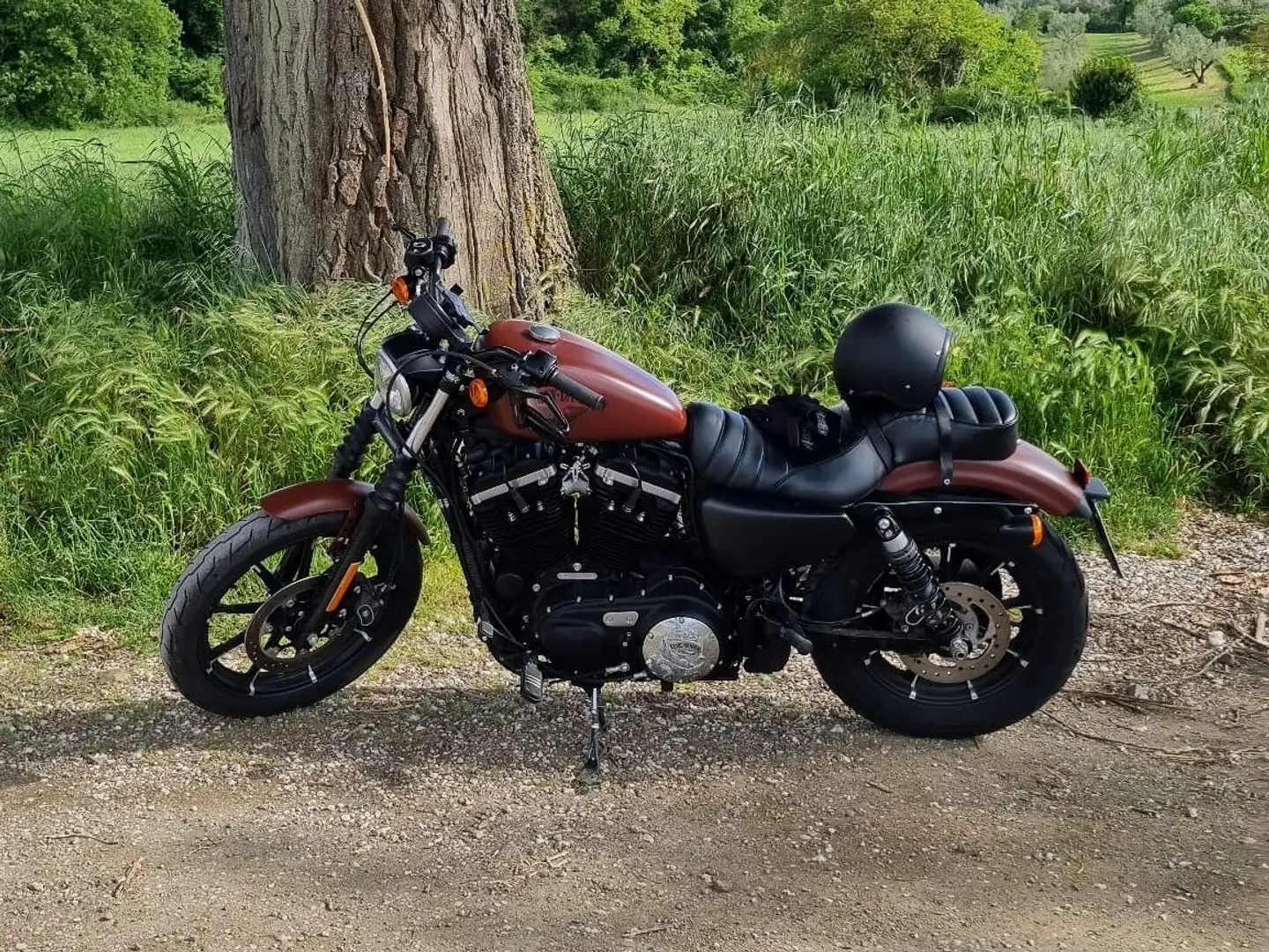 Harley-Davidson Iron 883 - 2