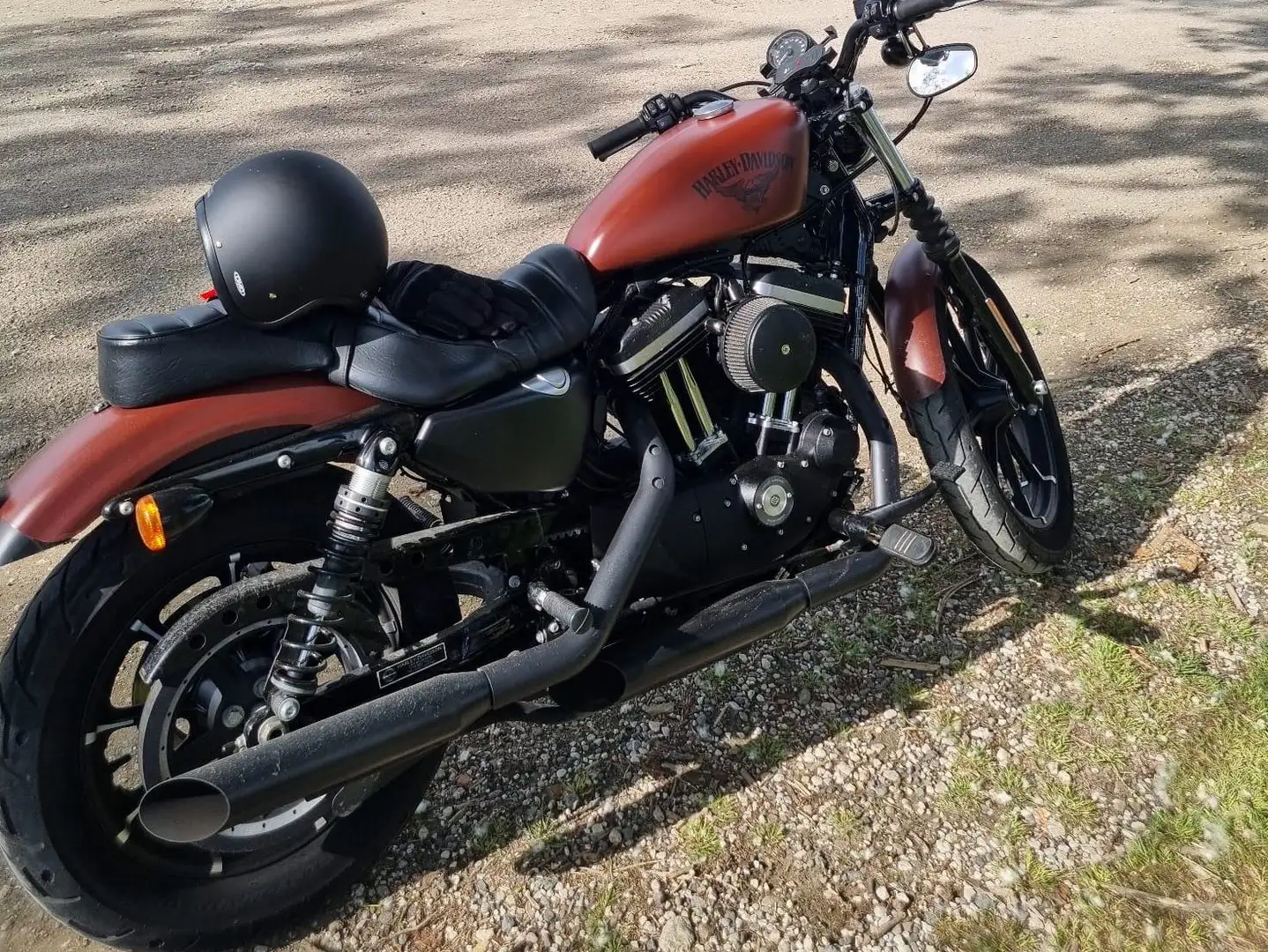 Harley-Davidson Iron 883 - 1
