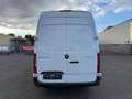 Mercedes-Benz Sprinter Kasten 316 CDI*Tempomat*Klimaauto. Blanco - thumbnail 4