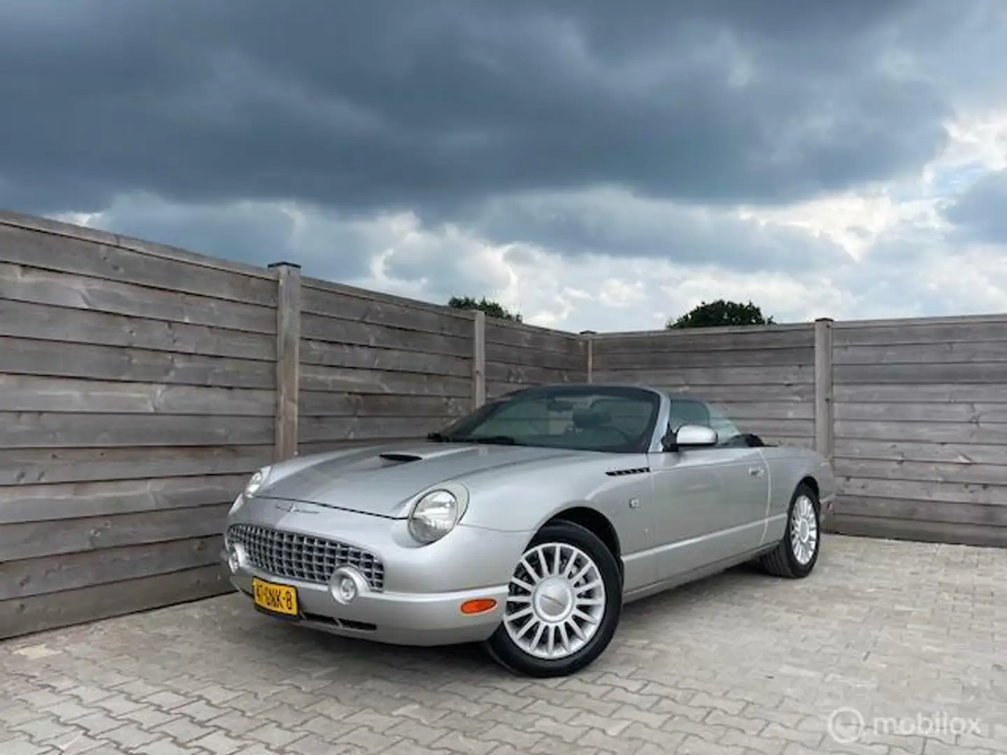 Ford Thunderbird USA Cabriolet V8 285PK 2004 Grau - 1