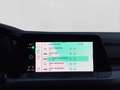 Volkswagen Golf 1.5 TSI ACTIVE IQ.DRIVE NAVI PRIVACY ACC Rot - thumbnail 15