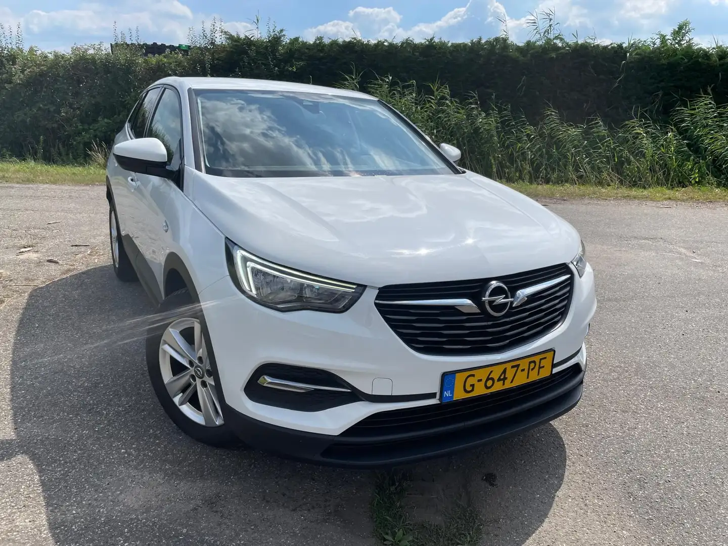 Opel Grandland X 1.2 Turbo Business Edition Blanc - 1