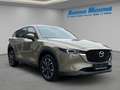Mazda CX-5 Advantage e-SKYACTIV-G 194 M-Hybrid HUD Navi 360 K Beige - thumbnail 7