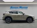 Mazda CX-5 Advantage e-SKYACTIV-G 194 M-Hybrid HUD Navi 360 K Beige - thumbnail 6
