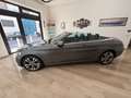 Mercedes-Benz C 220 Cabrio d Premium Automic 170CV Niebieski - thumbnail 7