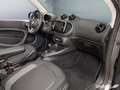smart forTwo ForTwo Cabriolet EQ Passion LED/22 kW/DAB/Kamera Grau - thumbnail 14