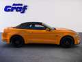 Ford Mustang 5,0 TiVCT Cabrio Orange - thumbnail 3