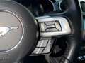 Ford Mustang 5,0 TiVCT Cabrio Orange - thumbnail 14