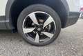 Nissan Qashqai 1.2L DIG-T 115ch N-Connecta Blanc - thumbnail 21