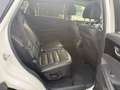 Kia Sorento 2.2 CRDi GT-Line 4WD Automatik 7-Sitze Weiß - thumbnail 10