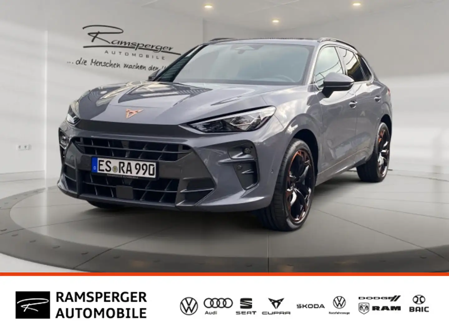 CUPRA Terramar VZ 2.0 TSI 4drive HUD/Pano/Sennh./uvm. Grau - 1
