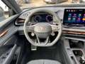 CUPRA Terramar VZ 2.0 TSI 4drive HUD/Pano/Sennh./uvm. Grau - thumbnail 12