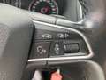 SEAT Alhambra Business TDI DSG Weiß - thumbnail 13