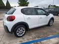 Citroen C3 C3 BlueHDi 100 S&S Van Feel Bianco - thumbnail 5