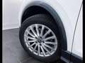 Audi Q2 1.0 tfsi Business s-tronic Bianco - thumbnail 14