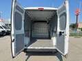 Citroen Jumper L3H2 35+ 140 TÜV/Service/Reifen NEU*RESERVIERT* Weiß - thumbnail 5