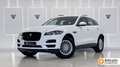 Jaguar F-Pace 2.0i4D Pure RWD 163 Blanco - thumbnail 1