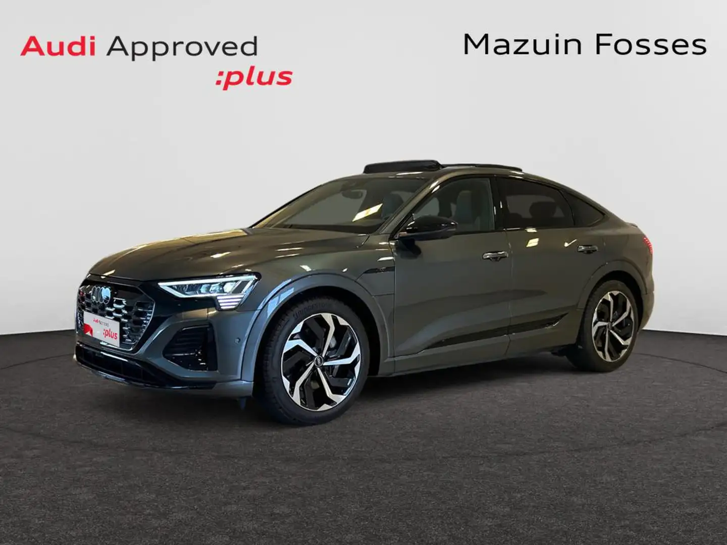 Audi Q8 e-tron Sportback S line 55 106kWh Quattro 300kW(408cv) Grijs - 1