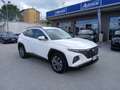 Hyundai TUCSON HYUNDAI TUCSON 1.6 CRDI 116CV XLINE 2023 Bianco - thumbnail 2