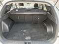 Hyundai TUCSON HYUNDAI TUCSON 1.6 CRDI 116CV XLINE 2023 Bianco - thumbnail 15