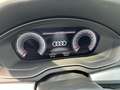 Audi Q5 35 2.0 tdi mhev 12V Business s-tronic Grigio - thumbnail 12