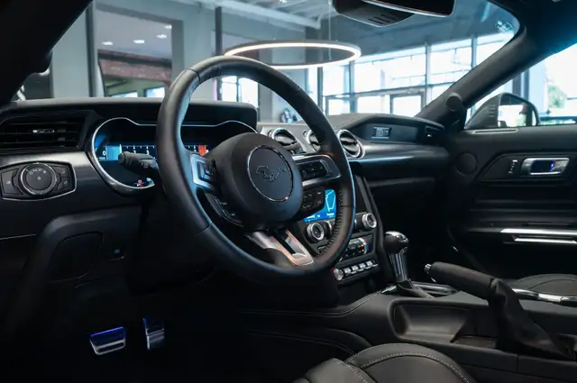 Ford Mustang view 13