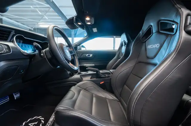 Ford Mustang view 14