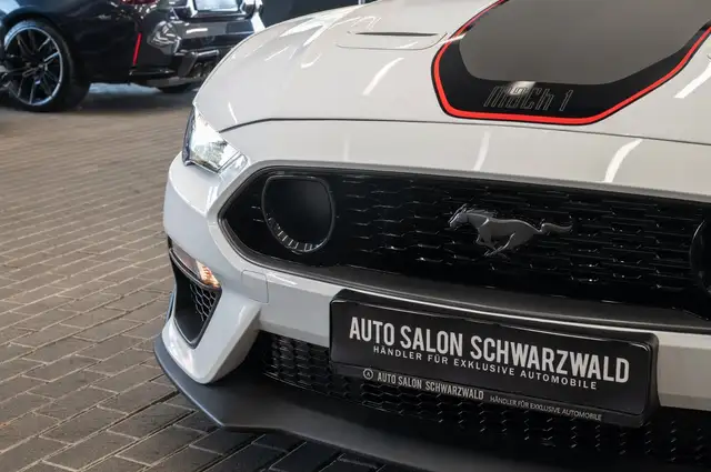 Ford Mustang view 12