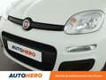 Fiat Panda 1.2 Panda Blanc - thumbnail 25