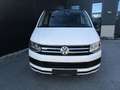 Volkswagen T6 Multivan Multivan Edition 2,0 TDI 4Motion DSG Edition Weiß - thumbnail 3