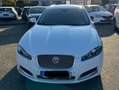 Jaguar XF XF 2.2 Diesel Sportbrake Weiß - thumbnail 2