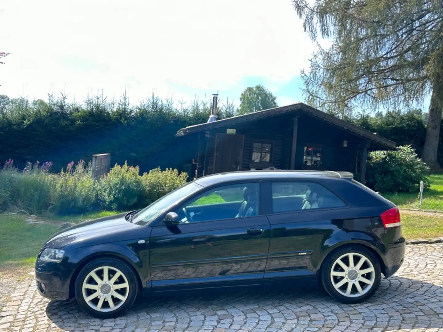 Audi A3 1.6FSI 115PS SLINE Sportpaket plus Schwarz - 2