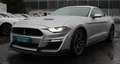 Ford Mustang 2.3 2019 Shelby|10Gang|Voll|SHZ|RFK|PDC Gris - thumbnail 3