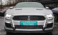 Ford Mustang 2.3 2019 Shelby|10Gang|Voll|SHZ|RFK|PDC Grey - thumbnail 2