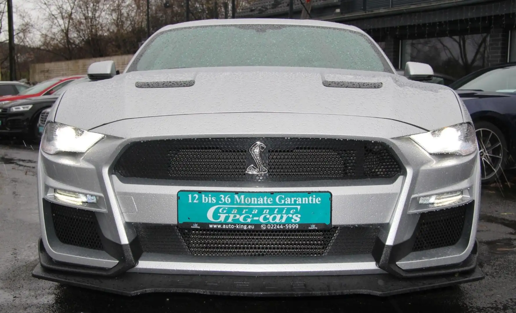 Ford Mustang 2.3 2019 Shelby|10Gang|Voll|SHZ|RFK|PDC Gris - 2