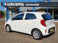 Kia Picanto 1.0 DPI Comfortline. 5P, Airco, Cruise, Lichtmetaa Wit - thumbnail 12