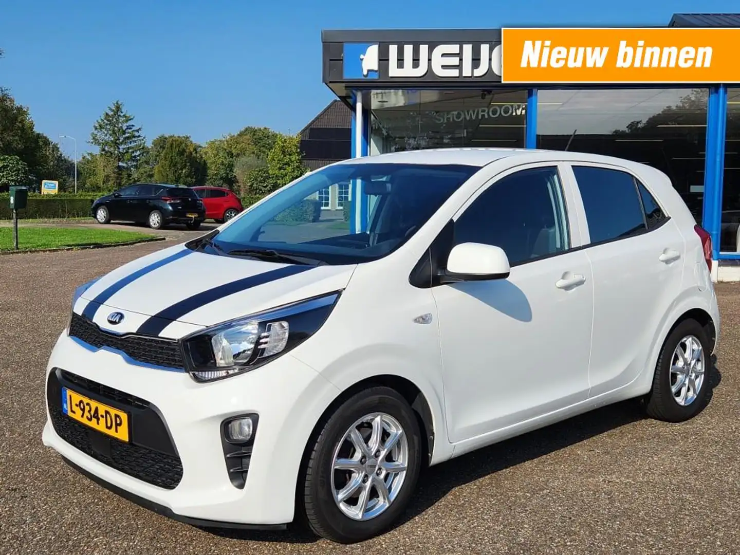 Kia Picanto 1.0 DPI Comfortline. 5P, Airco, Cruise, Lichtmetaa Wit - 1