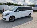 Mercedes-Benz V 250 d 4MATIC AVANTGARDE Lang Aut.7-Sitzer AHK2,5 Білий - thumbnail 1