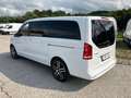 Mercedes-Benz V 250 d 4MATIC AVANTGARDE Lang Aut.7-Sitzer AHK2,5 Білий - thumbnail 3