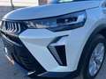 Mitsubishi Grandis 1,8 HEV Invite C AT 26 Weiß - thumbnail 12